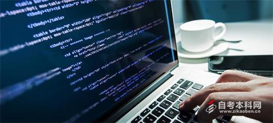 自考計算機應用技術專業 網站技術服務方向考試課程指南