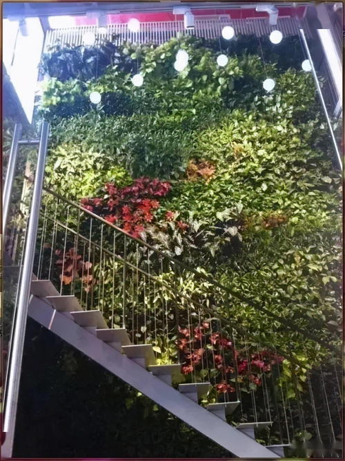 園林工程中的6種垂直綠化形式 提升空間效能與生態美學