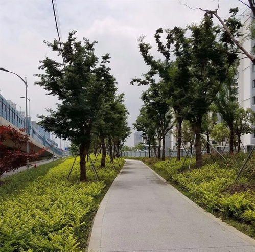匠心鑄綠韻，昆山石林綠化有限責任公司參評2017全國風景園林工程項目紀實